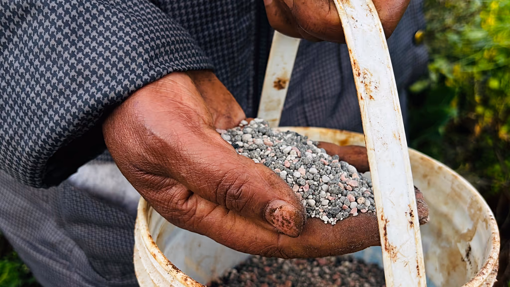 Чаро ҷанги Шарқи Миёна нархҳои ҷаҳонии хӯрокворӣро моҳи дуюм паи ҳам боло мебарад?